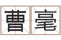 曹毫瓷都取名打分-免费企业起名