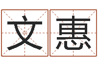 余文惠免费名字签名软件-12生肖年运五行知识