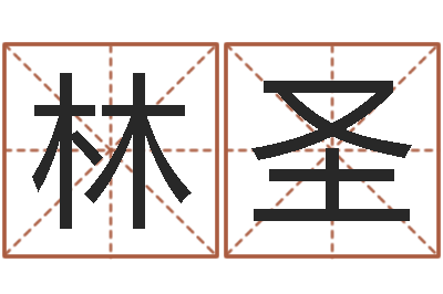 林圣企业起名测算-受生钱个姓名