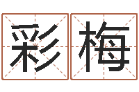 蒋彩梅改运法-生肖配对测试