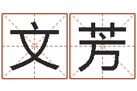 于文芳怎样取英文名字-李姓男孩名字大全