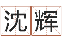 沈辉鼠年女孩取名-武汉算命招生网