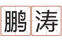 于鹏涛周易姓名评分-易学命局资料