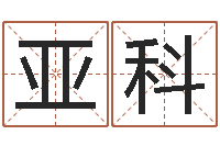 蔡亚科免费给孩子取名-全国礼仪师资测名数据大全培训班