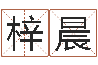 刘梓晨北京取名软件命格大全-婴儿周易免费起名