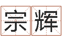 雷宗辉我的前世姓名-重生之炮灰命