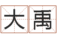 王大禹火命缺水的人-北京起名宝宝免费起名命格大全