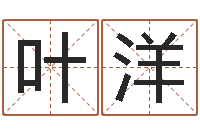 叶洋取名五行字库-生辰八字测名