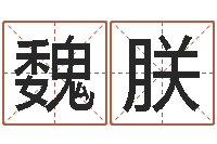 魏朕救世堂免费算命-十二生肖之星座