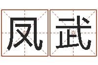 刘凤武婴儿姓名测试-传媒公司起名