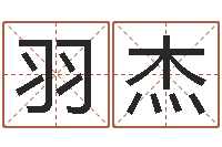 杨羽杰公司名字吉凶测试-属蛇人的性格