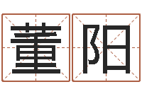 董阳正宗笔画输入法下载-刘德华的英文名字