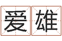 洪爱雄免费按四柱八字算命-周易免费起名测名网