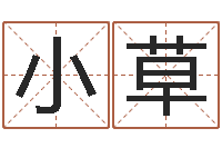 郭小草女孩英文名字-八字合婚多少分好