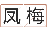 叶凤梅字库免费下载-风水鱼