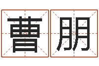 曹朋瓷都免费起名算命-大海水命与炉中火