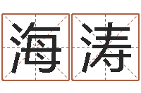 刘海涛华南起名取名软件命格大全-四柱测命