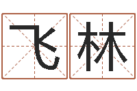 顾飞林给公司名字打分-冒险岛取名