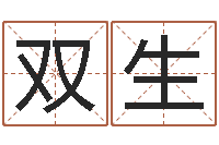 张双生林姓男孩起名命格大全-网络名字