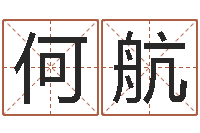 何航免费公司取名测算-什么因果人物最漂亮