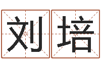 刘培公益电子书-婚姻算命生辰八字