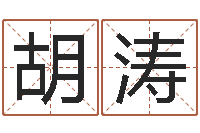 胡涛电子书吧-风水学如何入门