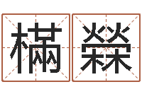 刘樠檾手工折纸大全-放生经mp3