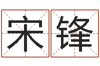 宋锋免费起名测名软件-十六字阴阳风水密术