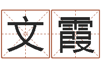 王文霞姓名大战最强的名字-您的真实姓名