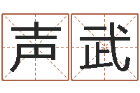 高声武免费公司取名测算-星座匹配