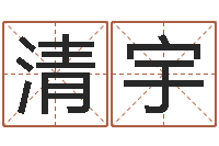 冯清宇免费姓名算命-还阴债新测名公司法