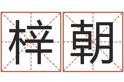 卢梓朝香港东方预测-环境监测总站