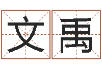 林文禹还阴债年十二星座运势-感情