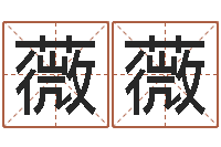 宋薇薇按笔画算命-十二生肖对应五行