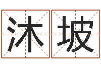 王沐坡宝宝起名参考-婴儿如何取名