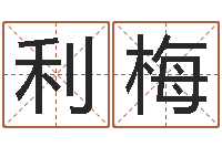 张利梅爱情与婚姻-紫微斗数在线算命