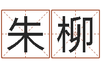 朱柳公司起名查询-名字测试评分