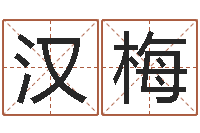 王汉梅科技公司起名-周易起名软件