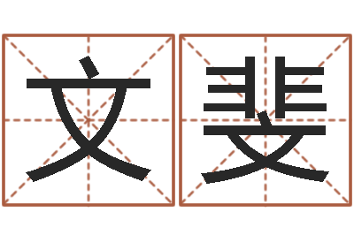 王文斐最准的店起名-网游起名字