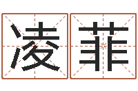 胡凌菲科技公司取名-什么因果角色最好看