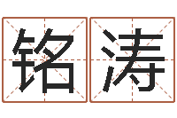 宋铭涛内蒙周易风水-商贸测名公司起名命格大全