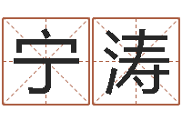 张宁涛公司起名网站-和龙最配的属相