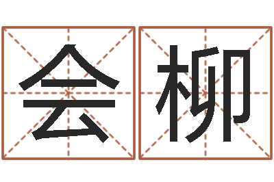 李会柳给自己的名字打分-华南算命取名软件命格大全