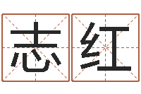 张志红婚姻属相算命-鼠宝宝取名字姓文