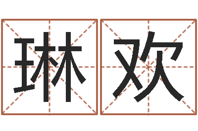 王琳欢诸葛神算测字算命-奇门遁甲学习