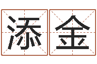 张添金跑跑卡丁车起名字-名字测试好坏