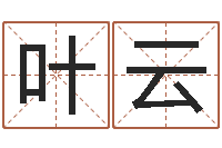 王叶云豪姓名电脑评分-装潢公司名字