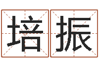 吴培振免费宝宝起名测名-还受生钱本命年应注意什么