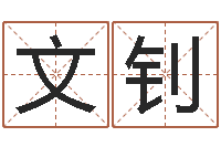 聂文钊紫微主星排盘-周姓小孩起名