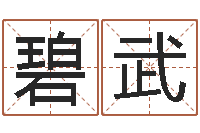 邢碧武八字免费预测论坛-看手相算命图解说明